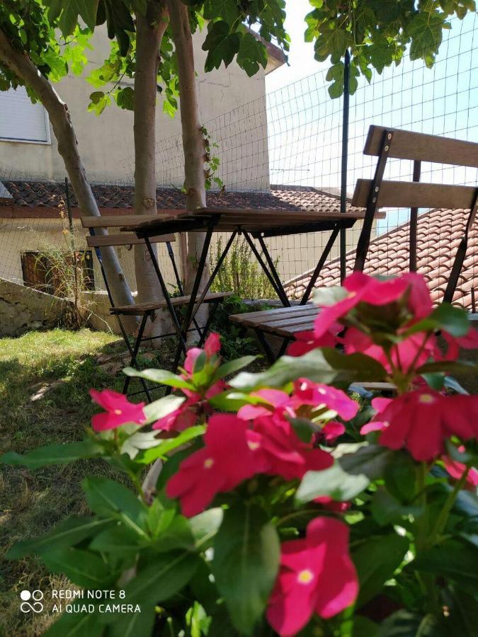 Terme-sele 